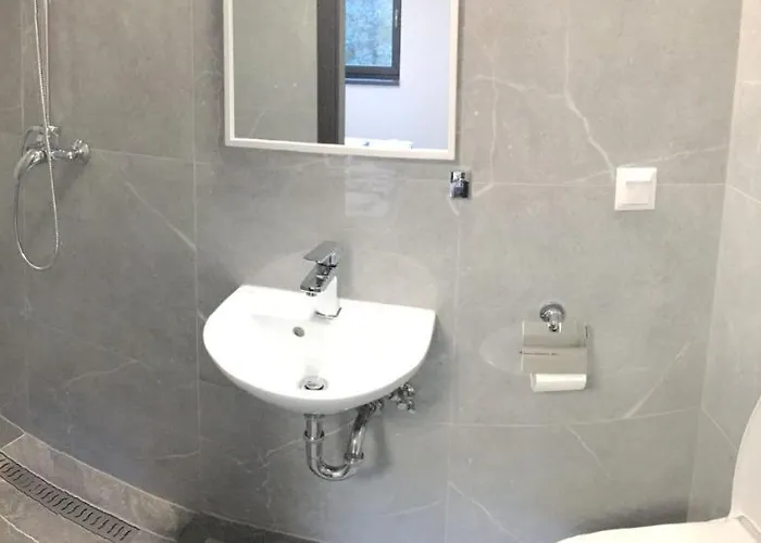 Marlies アパート ツェル アム ゼー